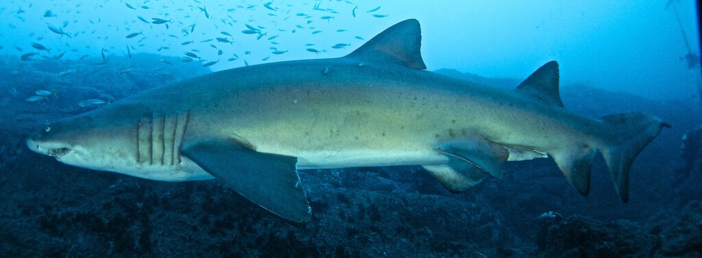 9eff062d-fb4b-4f47-bea8-aa1c9a296056