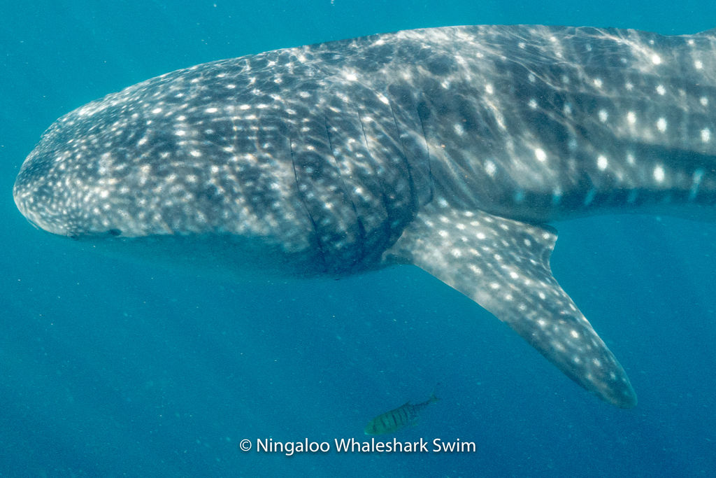 87783db8-8c1d-4254-b052-6bd20cfd4514