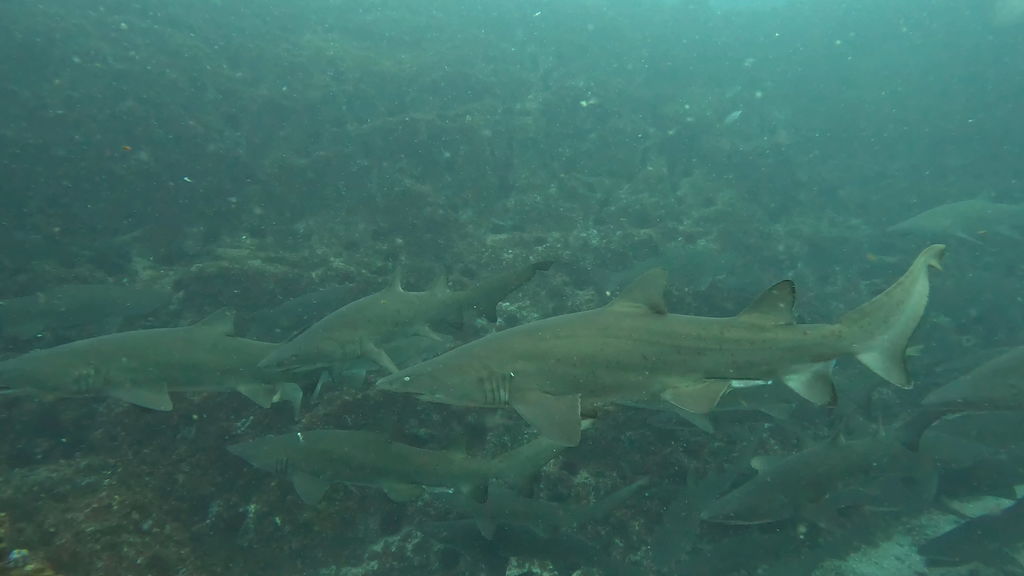 aa5b069d-1189-42d5-bd6a-66e26d1e190d