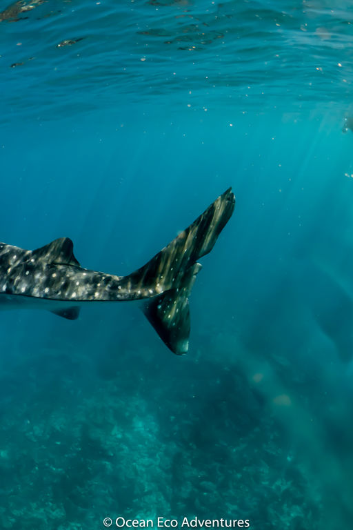 15874d60-371f-437b-8aea-1cd43a5f5df6