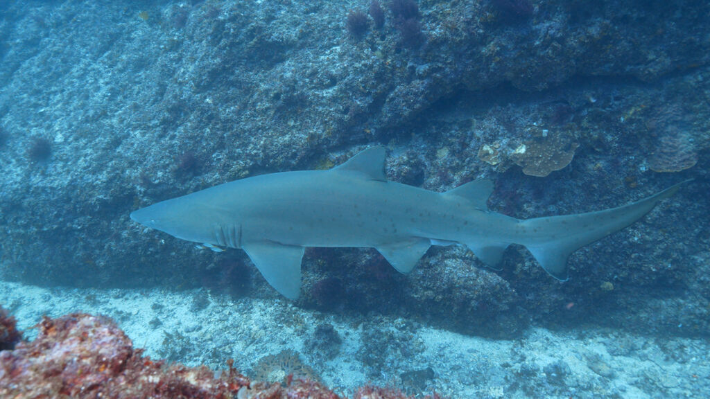 53e24827-0aed-4ff8-8c56-a2834320a541