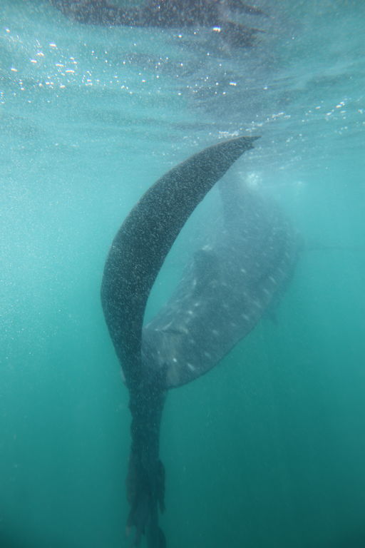 6a990b80-effd-47ce-9e7d-3838a660f4a7