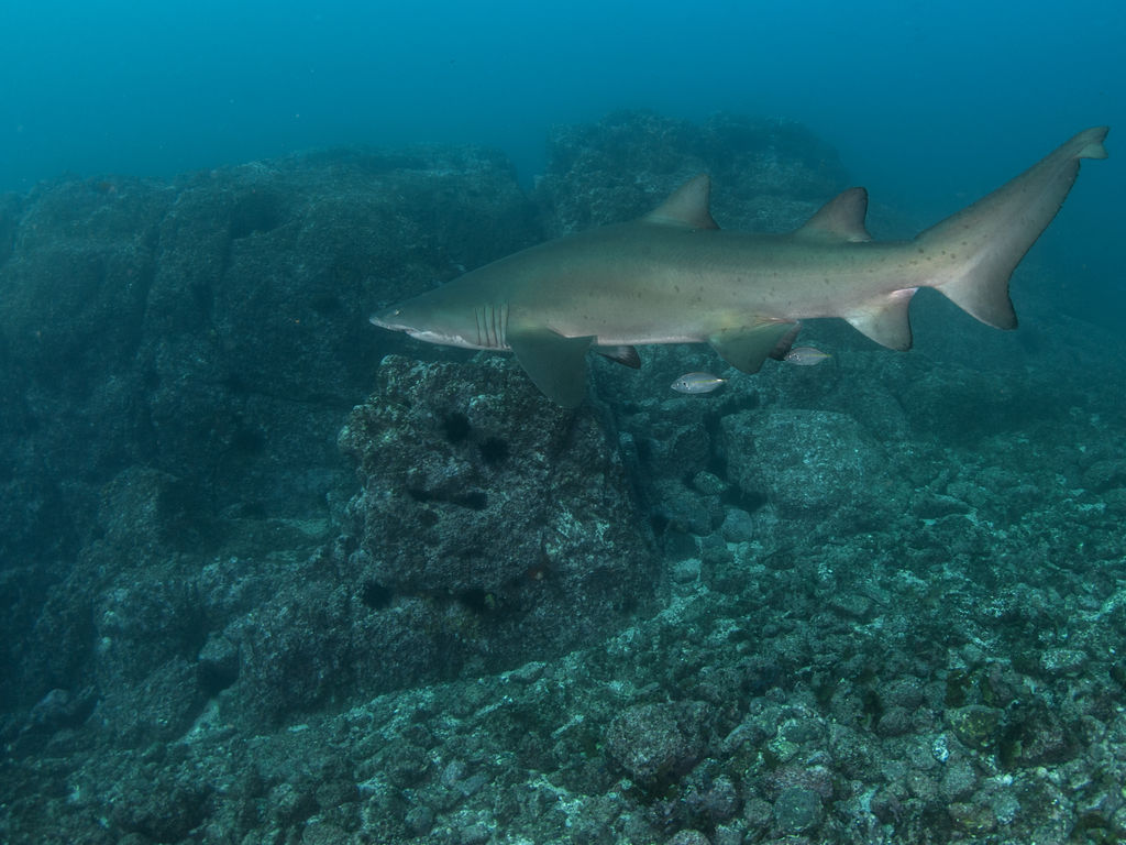 57c55f30-82e9-4221-8500-388b15941a76