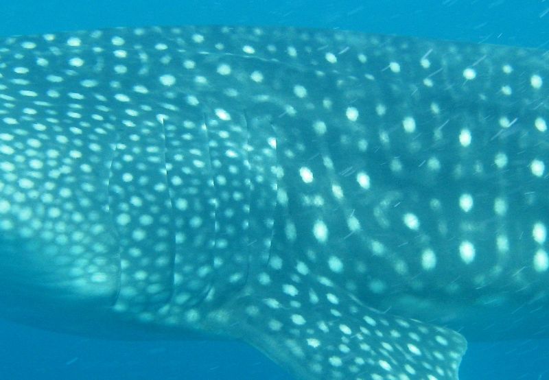 87876ae3-a9d4-4dba-9d9d-fbe14121b15e