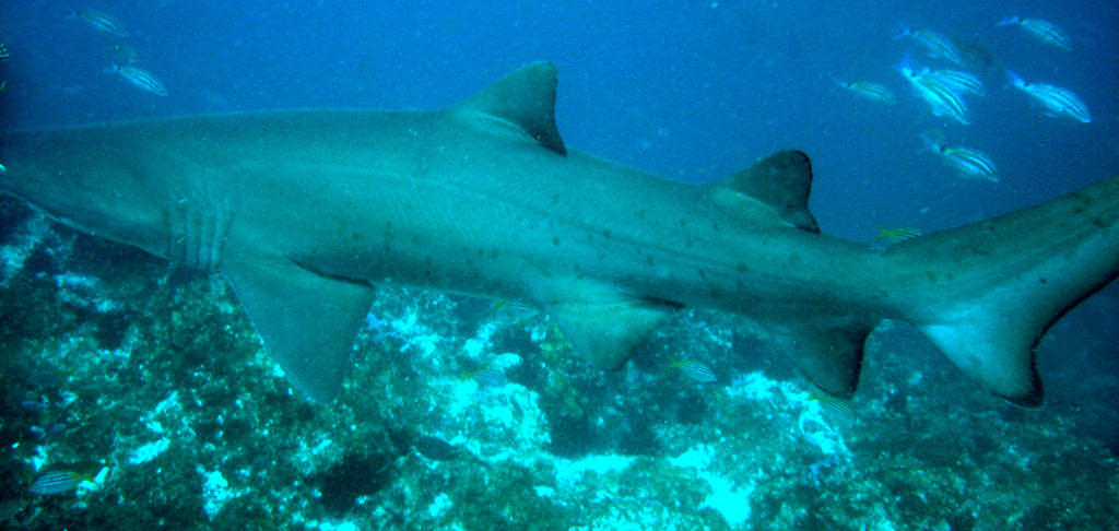 76dcc124-f572-40a1-ac31-456eb911d9f1