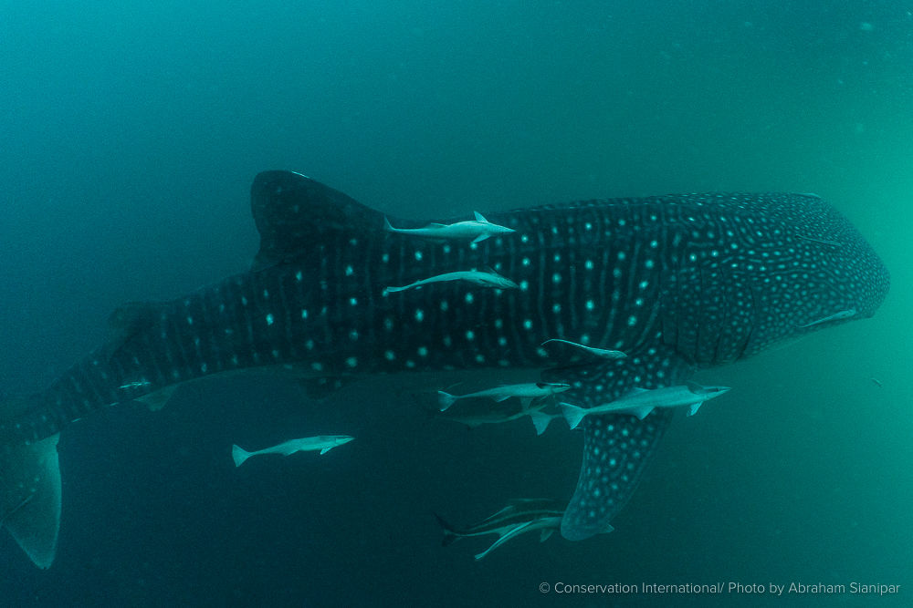 64b8926e-7518-4993-918b-d1bdf67e5ede