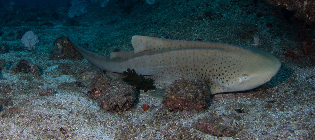 9cf6c5f9-c93e-476d-bd56-e8723176f63f