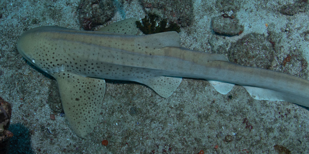 9cf6c5f9-c93e-476d-bd56-e8723176f63f