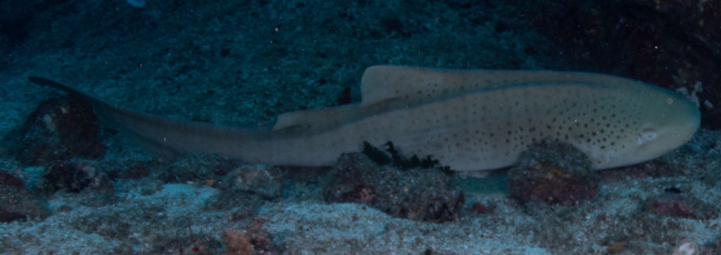 9cf6c5f9-c93e-476d-bd56-e8723176f63f