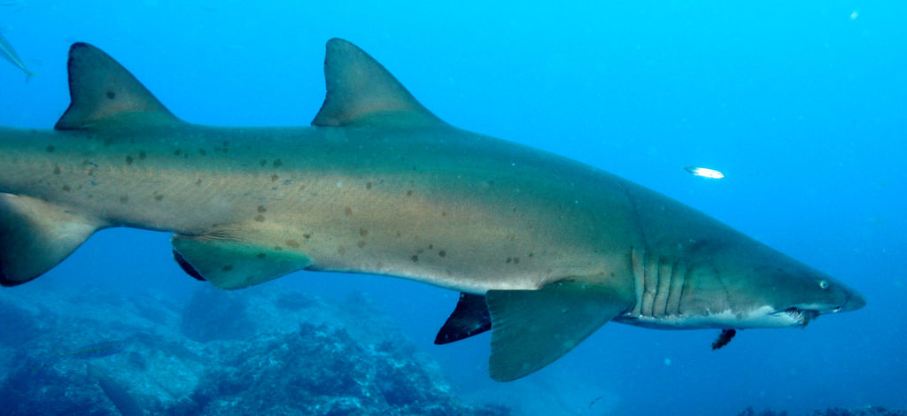 7f1253dc-cdcc-4ae8-8f09-26891f001657