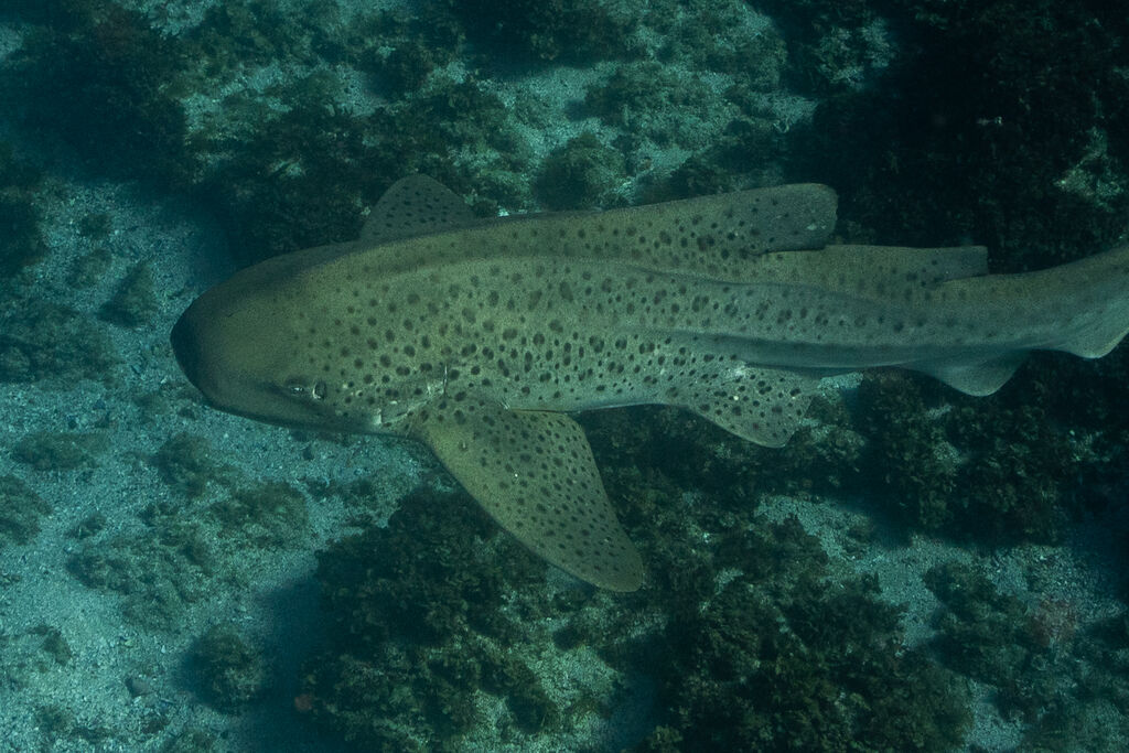 f2be489a-a27e-44ca-aaa8-addc2f7a79ab