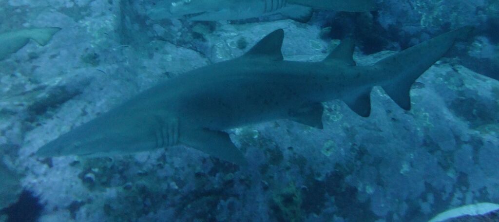 f883b582-5dbe-40aa-b3c5-b30893e09e5f