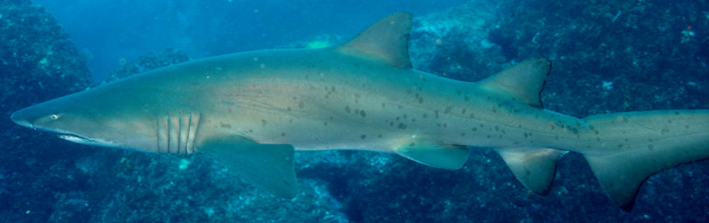 b71b1399-1bfb-42d4-9aea-006603453eff