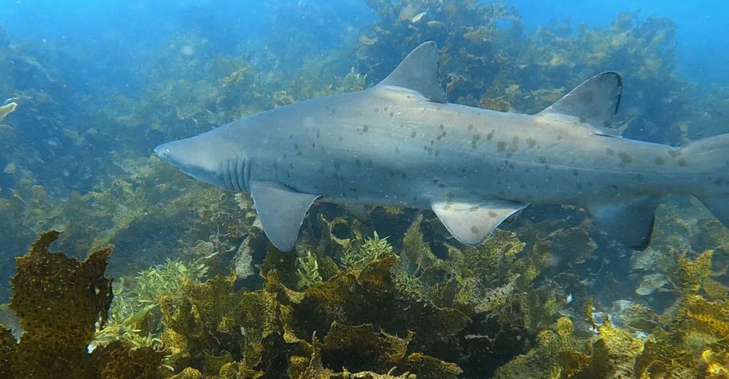 dfdea59c-4541-4944-8893-2e7192af4c42