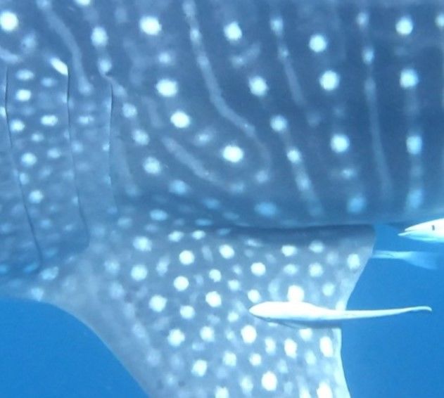 19148f02-d017-404e-825f-80fbd16c68d7