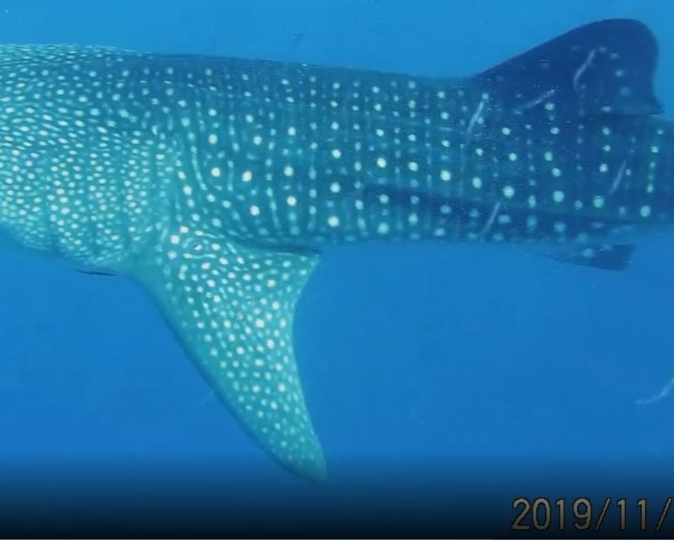 6cfbf13f-e5a6-4c14-8903-8ca284f4dd30