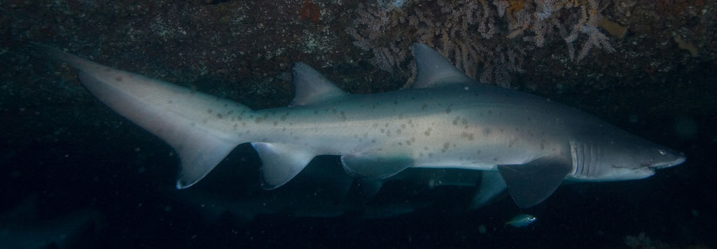 d8e6cce7-85e9-4021-9109-03ef52e4575c