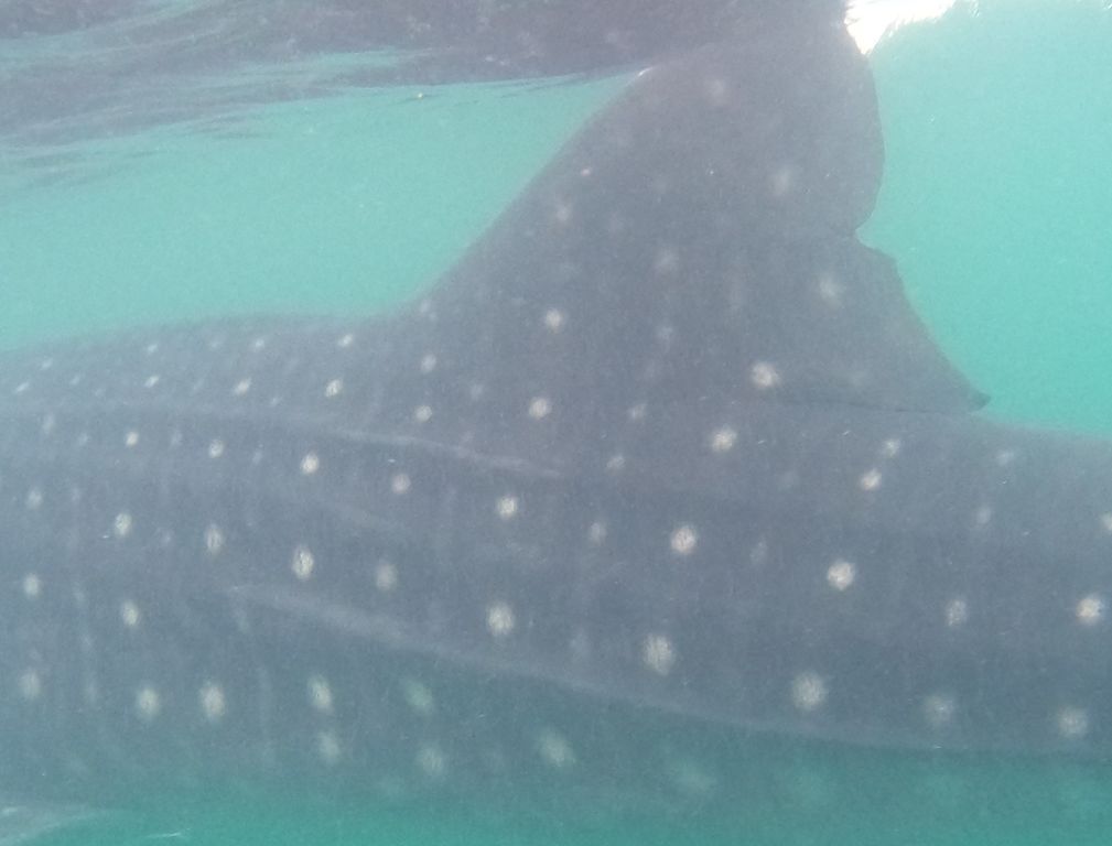 441f748b-e189-4840-b0b8-de5452b745e9