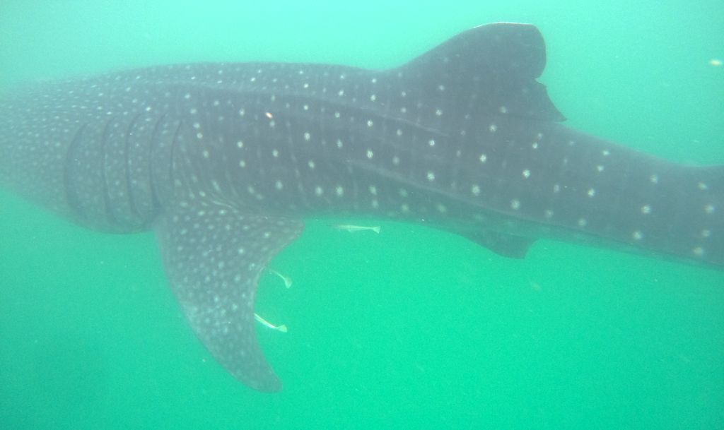 441f748b-e189-4840-b0b8-de5452b745e9