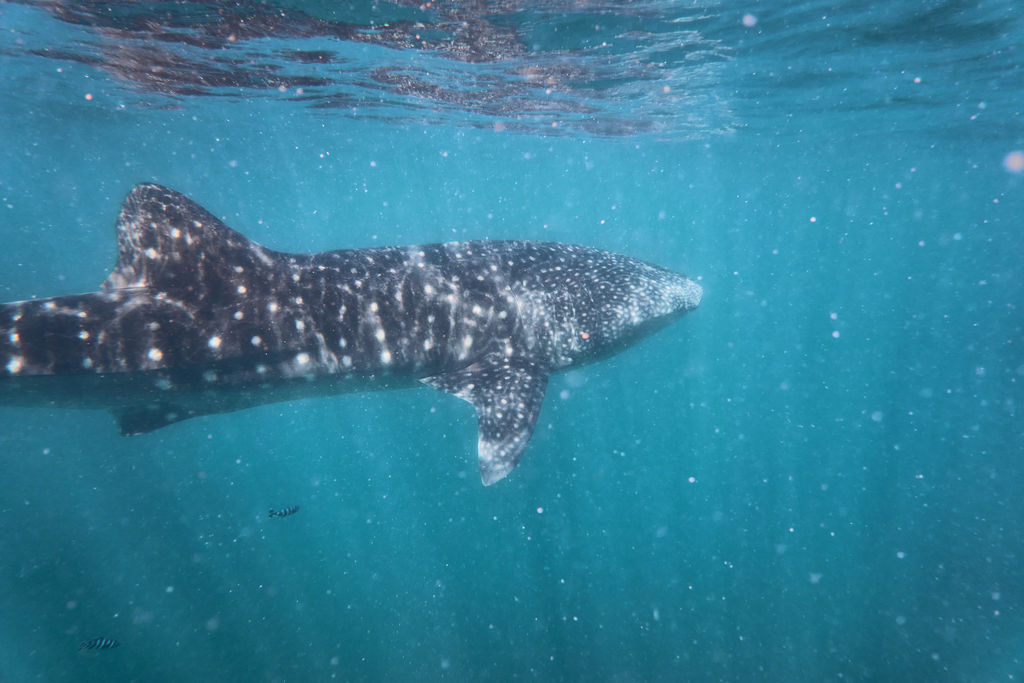 e87f22d2-d485-48c4-b999-d15982ac57e3