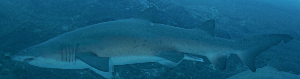 663cc9a2-7d8f-41f6-9d29-fae6622c0713