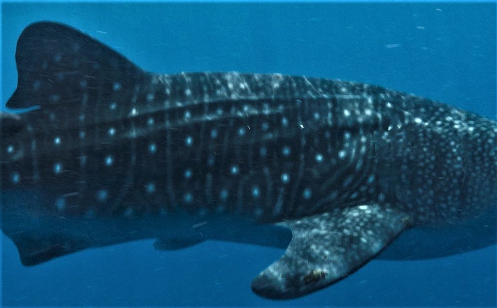 43c43cb7-99f4-4073-b9a0-39d91b18e9b1