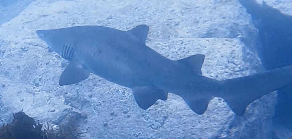 aefa7756-6249-49df-b4e8-147f04377709