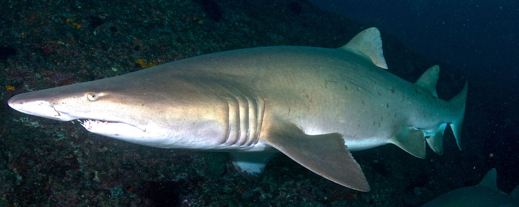 7a6de48b-c4e4-4d4a-9285-461c1be9196a