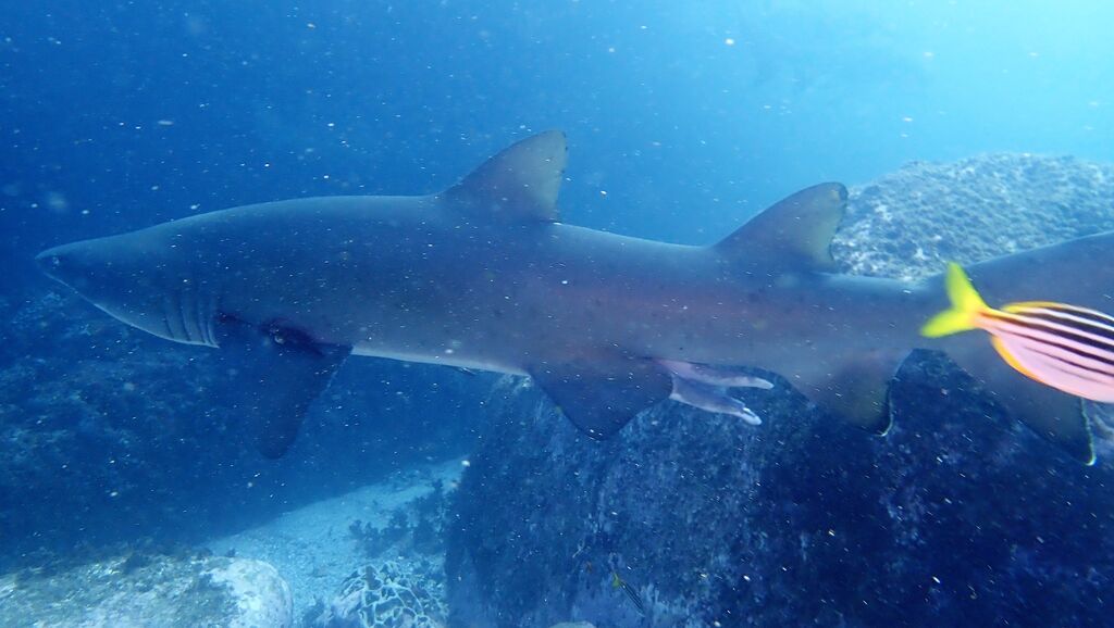 60ccd015-b3c1-410a-9d81-773cbcbe87dd