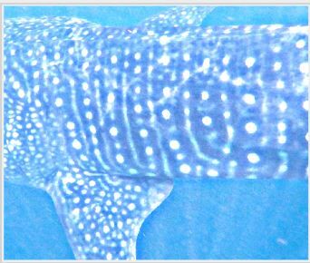 985b0db7-41b8-4357-8800-58fc1ddd4c5b