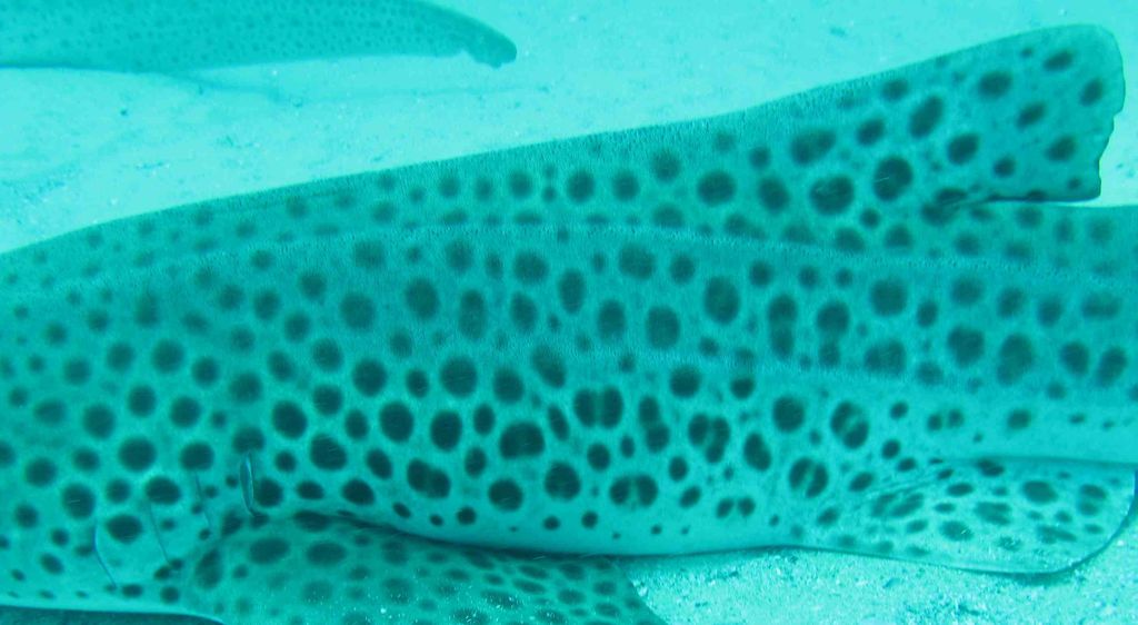 319f0e16-430b-46de-b8dd-db2b02ddfa21