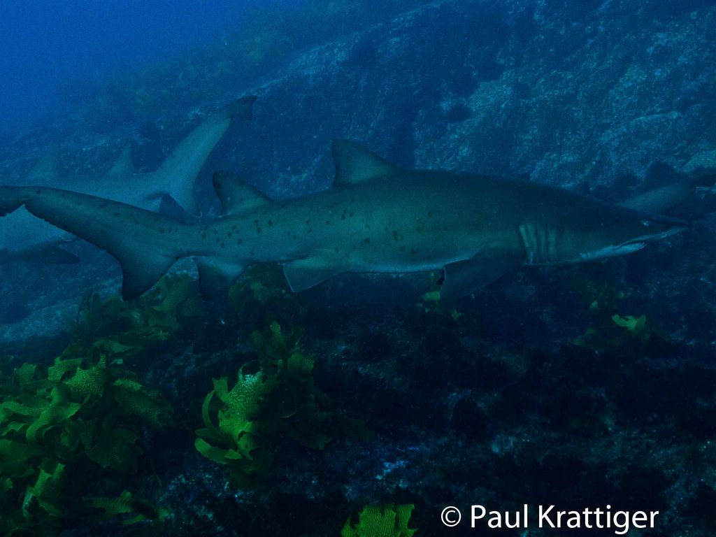 498c1aa3-9bfa-43c7-a826-2749039129ce