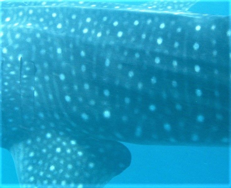 0ad744fe-eae8-4c31-b14b-9c4a9f8e749c