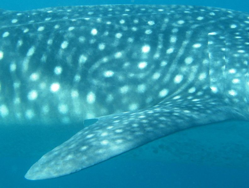 0ad744fe-eae8-4c31-b14b-9c4a9f8e749c