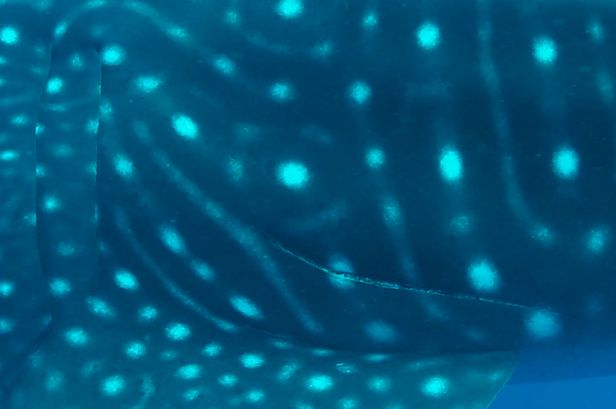 3f81f6f7-45bd-4fc3-bbd3-b090d4162212