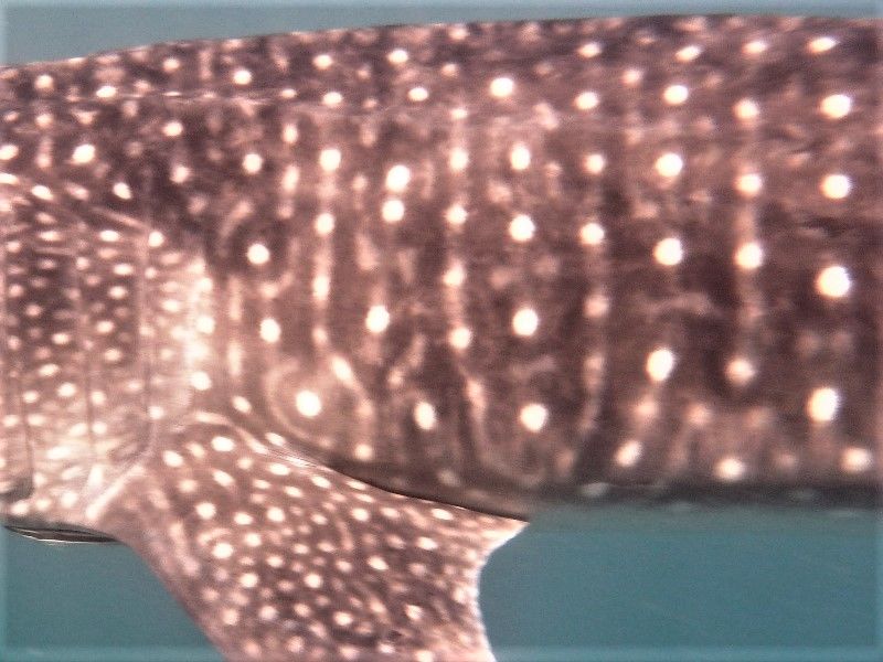 d3867418-5fcf-4e95-b6f5-fee52bb1c25e