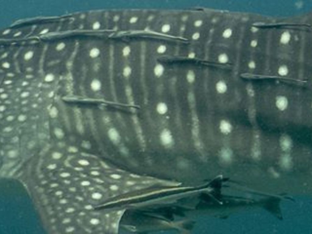 192af12a-b5e8-4e22-b5b8-c52324a0809c