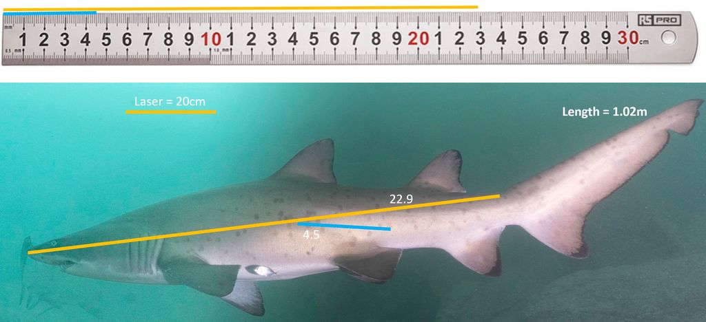 29149c54-b74d-4827-91e2-8a70d8e1d810