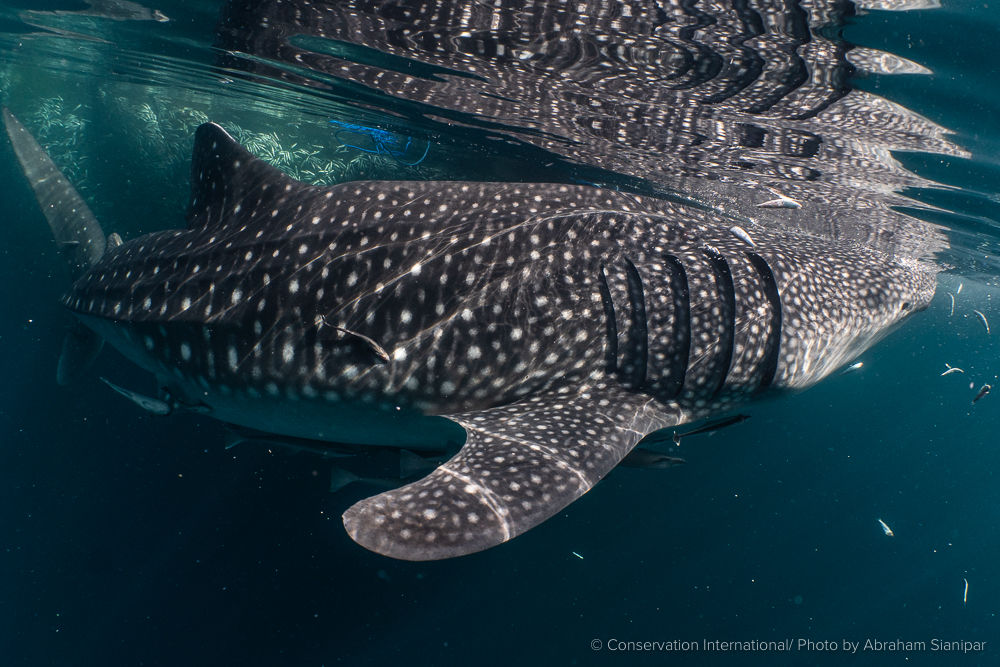 3729bc1b-8b7e-4fc9-a500-107a348b94b1