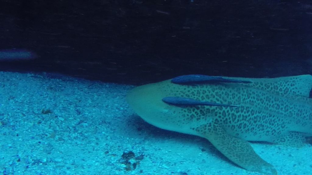 4578ee41-b7bd-4246-a91e-fb3b16ffd48c