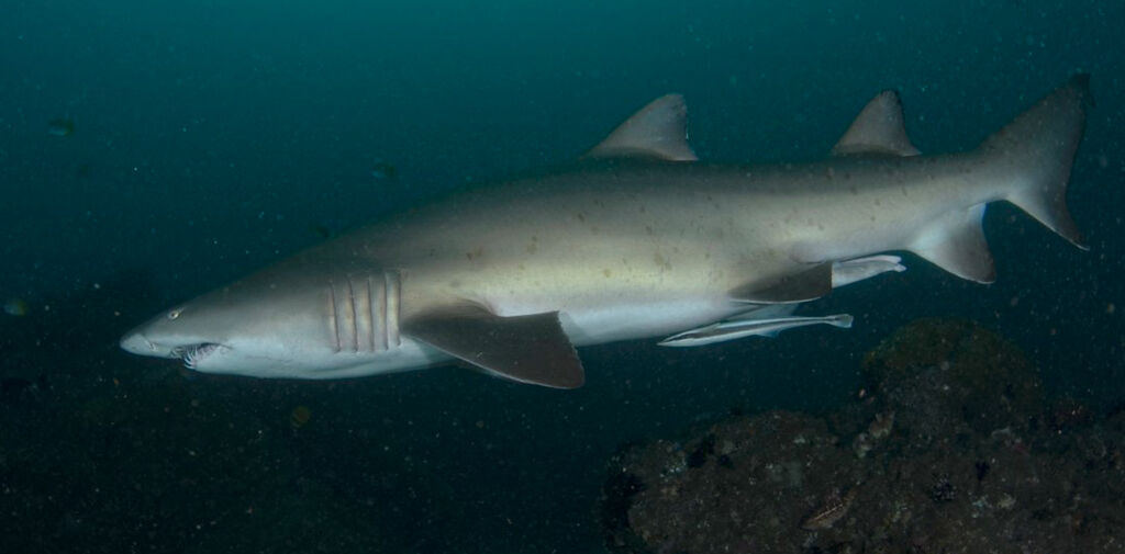 6b6911f6-74ce-445a-8933-059af12a1ccf