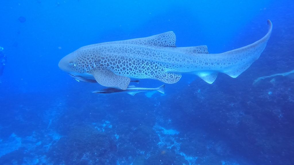 9b0448e1-74f9-42b9-9ca0-d39cbeb00cc9