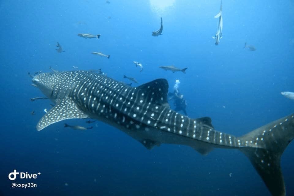 434d14ac-ec11-4437-881a-9aea810eab40