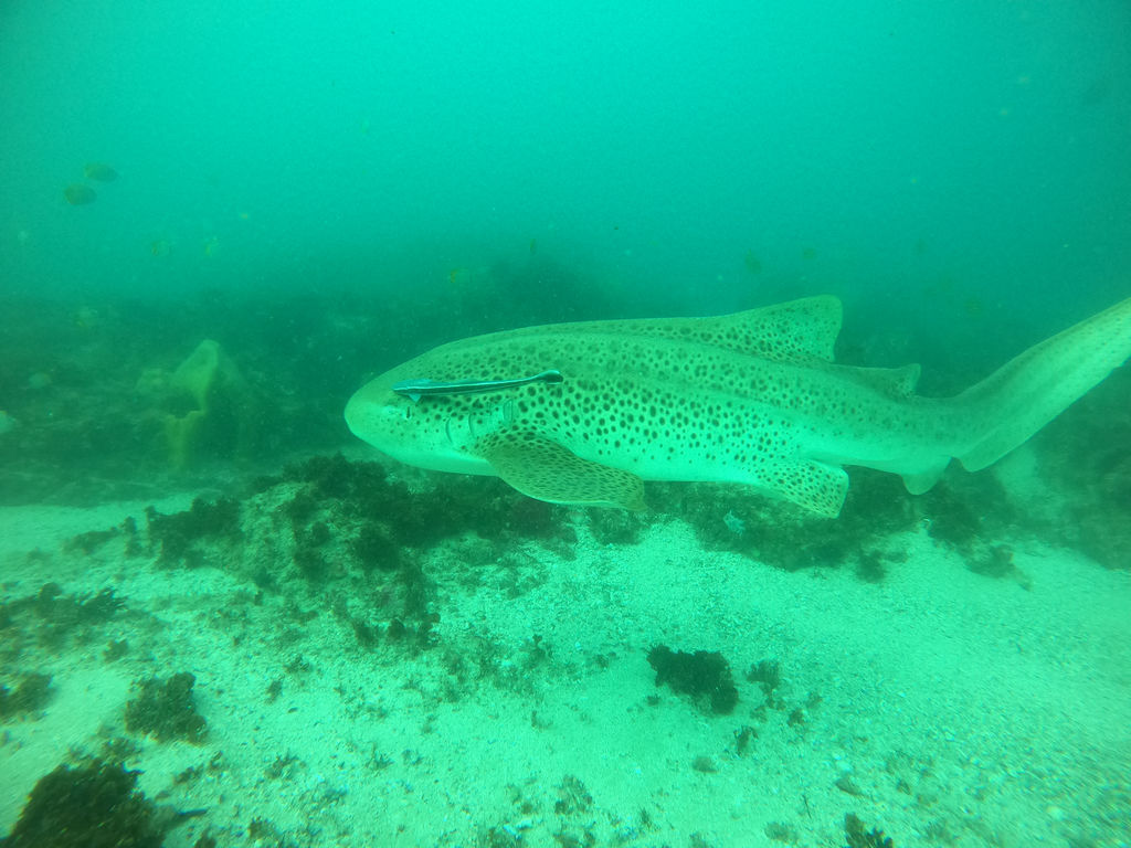 844d9906-4e48-4e70-86ed-e392cd214d7d