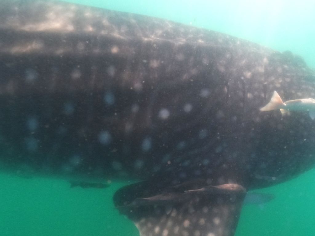 4ffd4d16-12bb-49d5-8ca5-aa59de08f24f