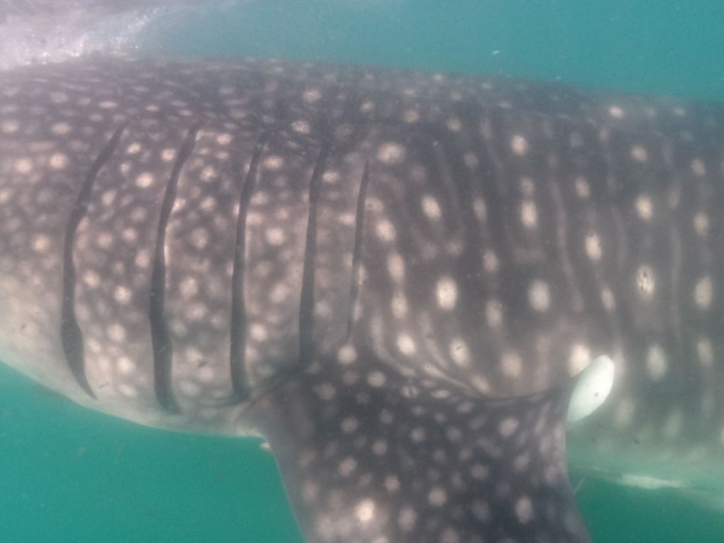 4ffd4d16-12bb-49d5-8ca5-aa59de08f24f