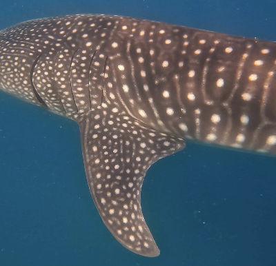 43119d84-ee7f-48b5-a9b7-7c3f4656ac83