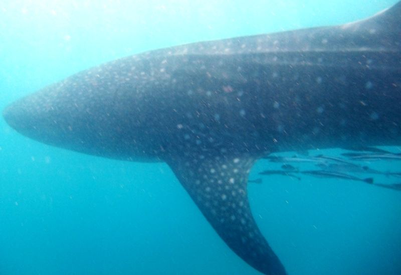 a38aba01-f785-46d5-96f7-27422bae5d74