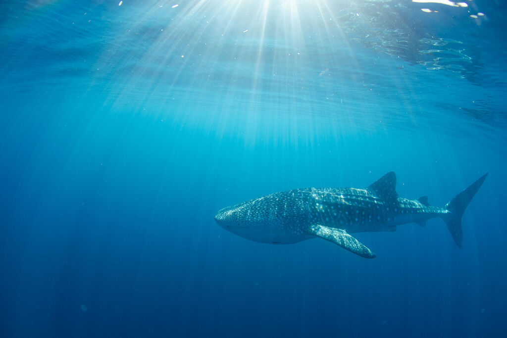 e7dcbf92-d565-4c2c-8f16-3f1a5406dc9a