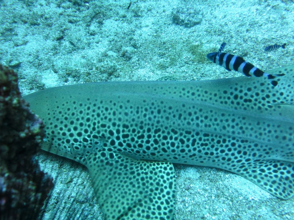 9a776e91-0e81-4aa4-a8c7-308c7ae7e7dd